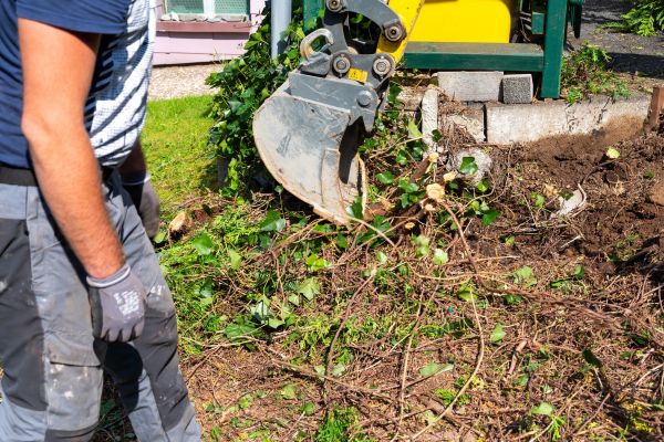 Hedge Removal Service in Tyler