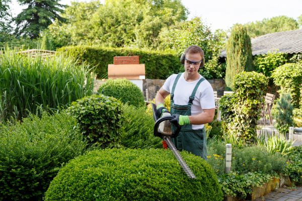 Shrubs Trimming in Tyler