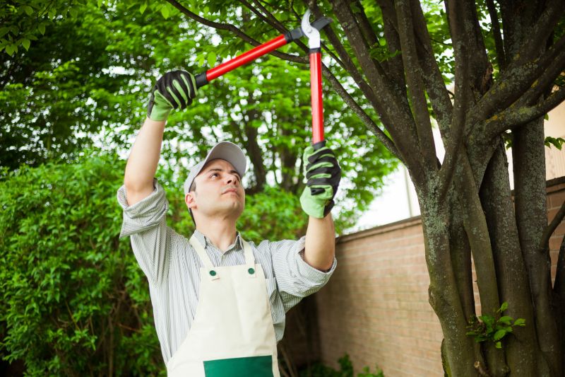 Arborists and Tree Specialists